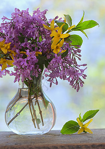 木桌上的春天丁香花木桌上的丁香花背景图片