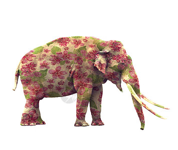 大象白色背景上隔离的花花的大象背景图片