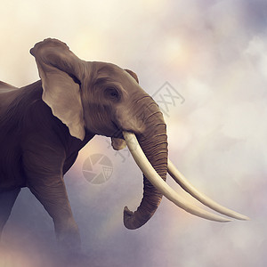非洲大象肖像数字绘画非洲大象肖像背景图片