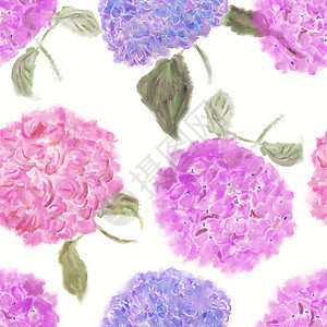 水彩康乃馨绣球花的无缝图案背景