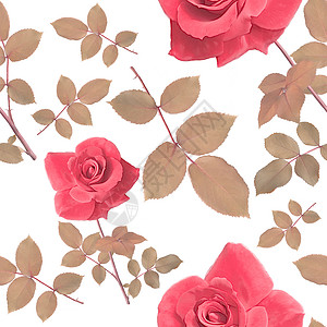 玫瑰树叶无缝图案的数字绘画玫瑰叶子的无缝图案图片