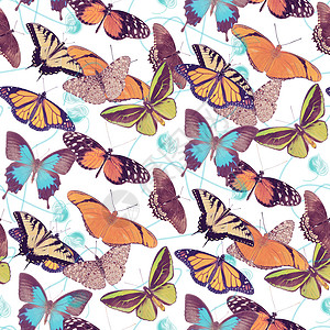 白色背景上蝴蝶的无缝图案蝴蝶的无缝图案背景图片