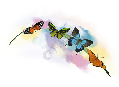 草地上蝴蝶的数字绘画草地水彩上的蝴蝶图片