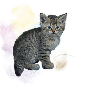水彩小猫灰色棕色小猫的数码画灰色棕色小猫水彩画背景