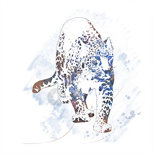 骑猫豹肖像的数字绘画豹肖像水彩画背景