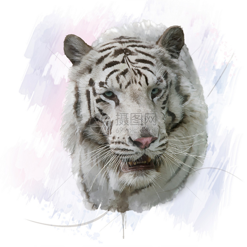 白虎的数码画白色老虎水彩画图片