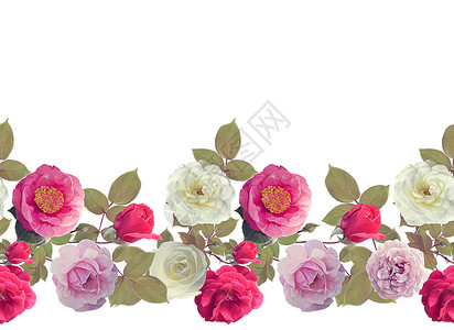 玫瑰边界水彩画,隔离白色背景上,图片