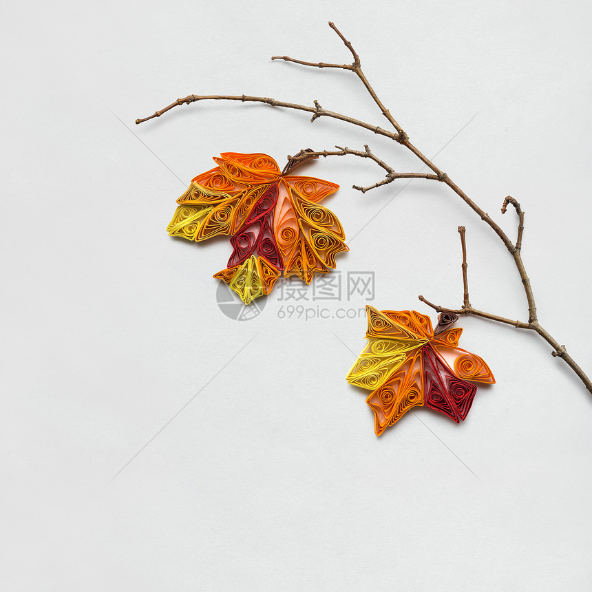 创意感恩节照片的树枝与树叶制成的纸张白色背景图片