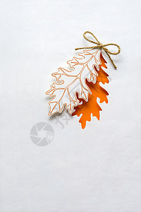创意感恩节照片的片树叶的白色背景背景图片