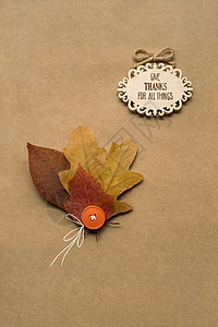 创意感恩节照片的叶子棕色背景背景图片