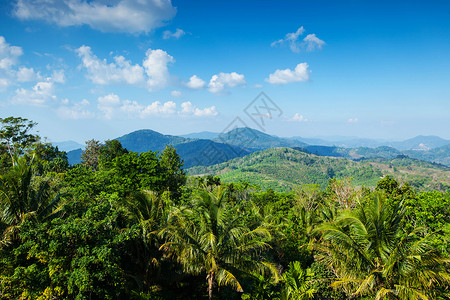 带山脉的热带景观热带景观与山脉棕榈树森林图片