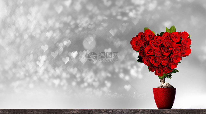 心形玫瑰心形红玫瑰树上的Bokeh背景图片