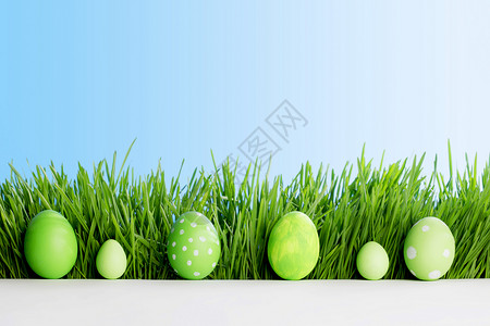 排复活节彩蛋新鲜的绿色草地上蓝天背景图片
