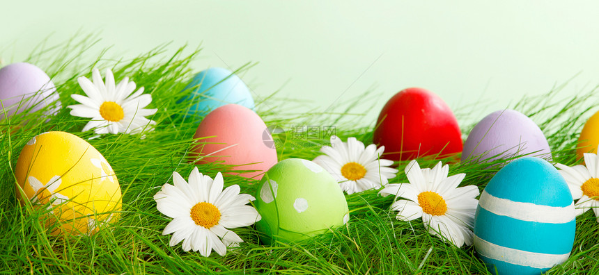 复活节的成与鸡蛋花绿色的草地上图片