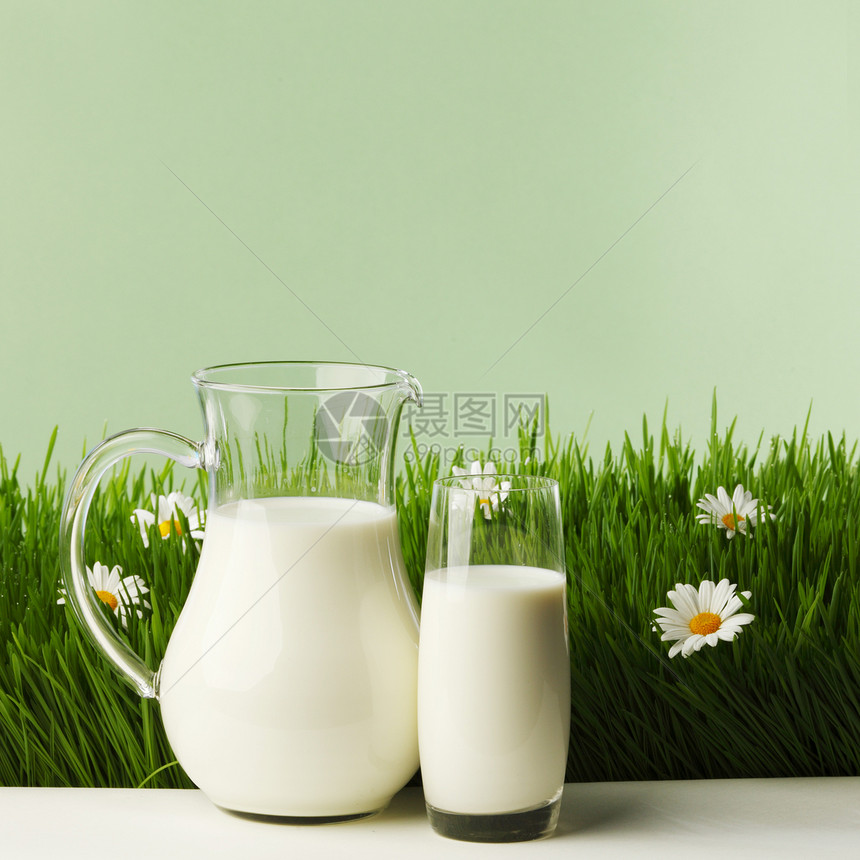 瓶子里的牛奶花草地上的璃牛奶罐子璃新鲜的草甸与洋甘菊图片