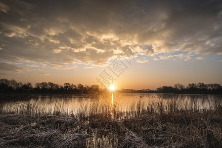 英格兰科茨沃尔德湖上芦苇丛丽而生机勃勃的冬季日出背景图片