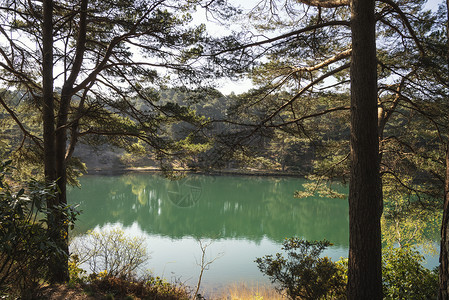 美丽的景观形象,旧粘土坑采石场湖与寻常的彩色绿色水背景图片