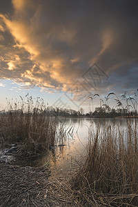 英格兰科茨沃尔德湖上芦苇丛丽而生机勃勃的冬季日出背景图片