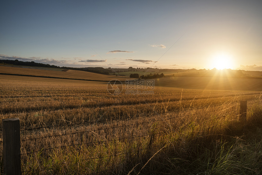 新收获的大麦田乡村景观夏末日落的光图片