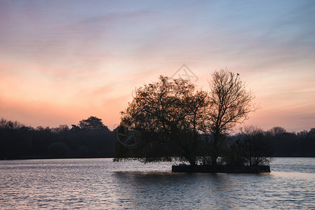 美丽的春天日出平静的湖泊英国乡村图片