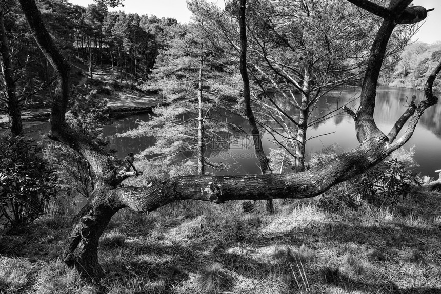 黑白旧粘土坑采石场湖泊的美丽景观形象图片