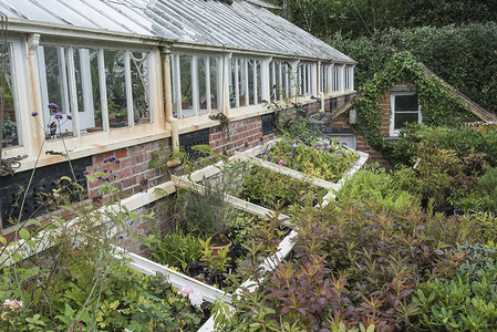 反渗透美丽的旧维多利亚时代的温室古老的英国花园里留下了罗的废墟背景