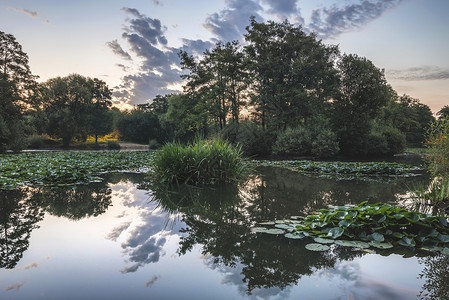 美丽的日出,夏天的风景,平静的池塘,完美的倒影图片
