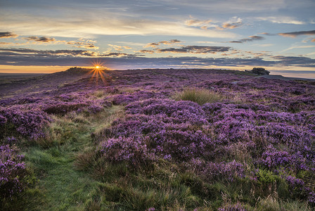 美丽的黎明日出景观形象石楠希格托夏季英国的高峰地区高清图片
