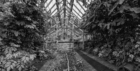 反渗透美丽的旧维多利亚时代的温室古老的英语花园里留下了黑色白色的ro废墟背景