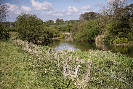 美丽的英国乡村河流景观,视野浅图片