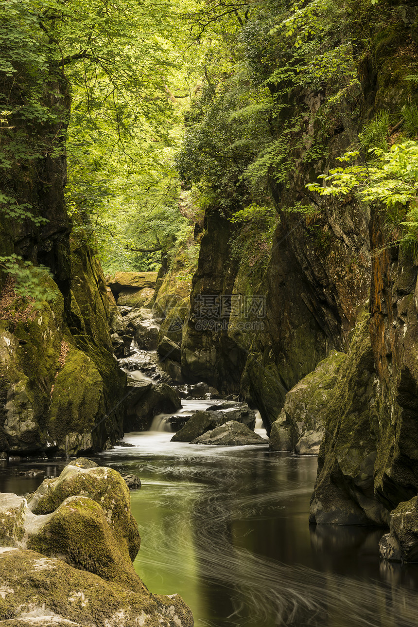 美丽的景观与河流流经深边峡谷与充满活力的绿色树叶图片