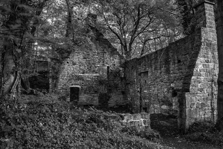幽灵般的老废弃的废弃建筑厚厚的森林景观中,黑白相间背景图片