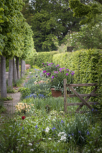 典型的英国乡村花园景观与清新的春天花农舍花园图片