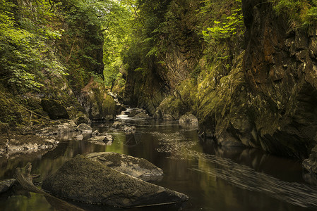 美丽的全景景观,河流流经深邃的峡谷,充满活力的绿色树叶图片