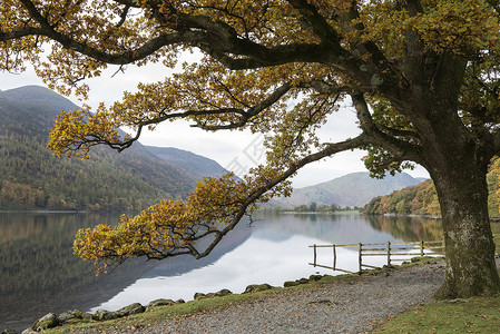 英格兰湖区巴特米尔湖美丽的秋季景观形象背景