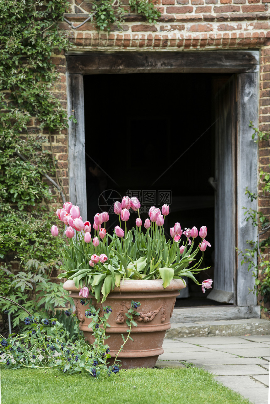 典型的英国乡村花园景观与清新的春天花农舍花园图片