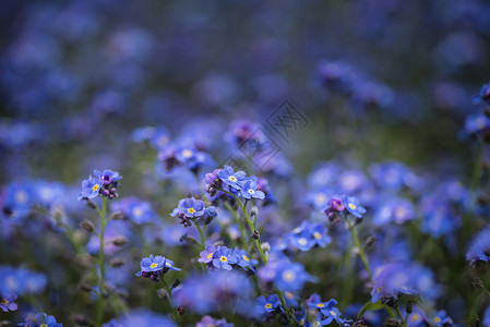 索索乡村季节高清图片