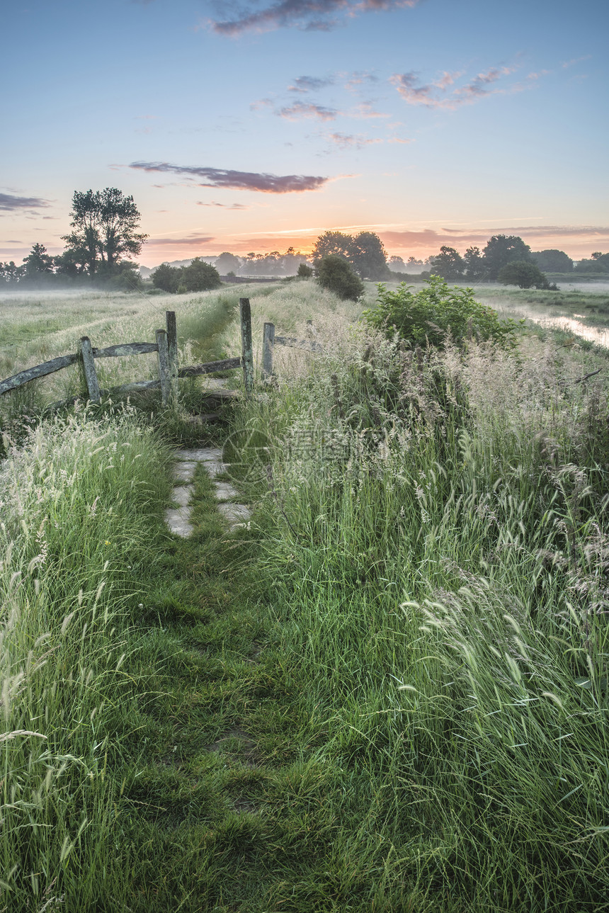 美丽而充满活力的夏季日出笼罩着英国乡村的风景令人惊叹的充满活力的夏季日出英国乡村景观上图片