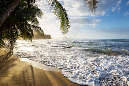 美丽的热带太平洋海岸哥斯达黎加高清图片