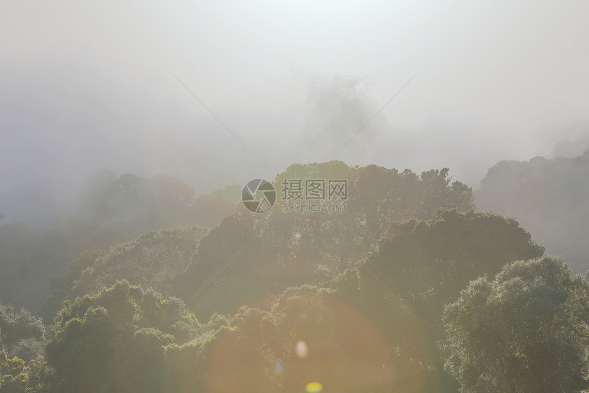 洲哥斯达黎加的薄雾雨林图片