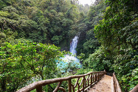 丰富多彩的被遗弃的哥斯达黎加雨林丛林中雄伟的瀑布热带远足背景