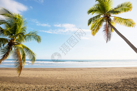 美丽的热带太平洋海岸哥斯达黎加背景图片
