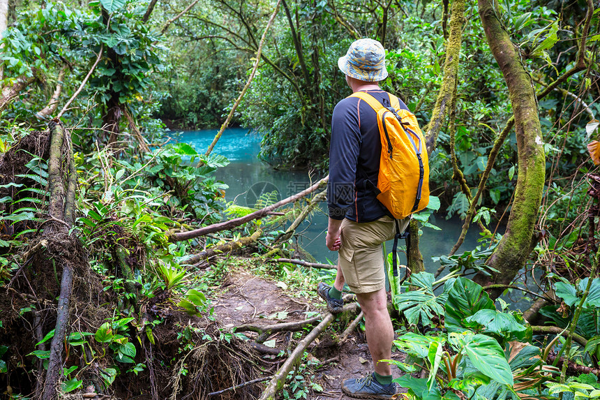 徒步旅行绿色热带丛林,哥斯达黎加,洲图片