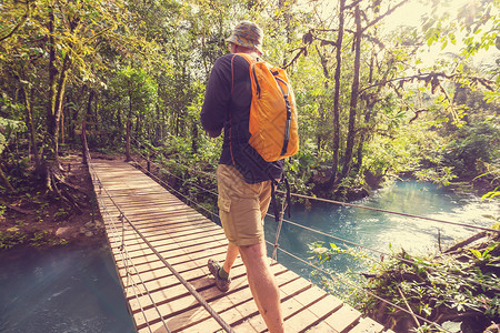 徒步旅行绿色热带丛林高清图片