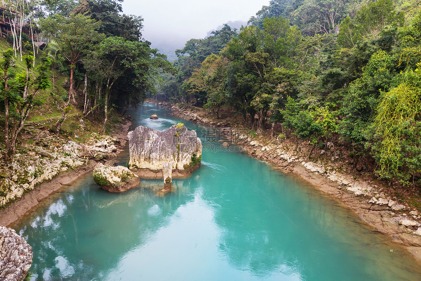 美丽的溪流雨林中流淌哥斯达黎加,洲图片