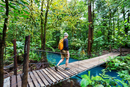 徒步旅行绿色热带丛林,哥斯达黎加,洲图片