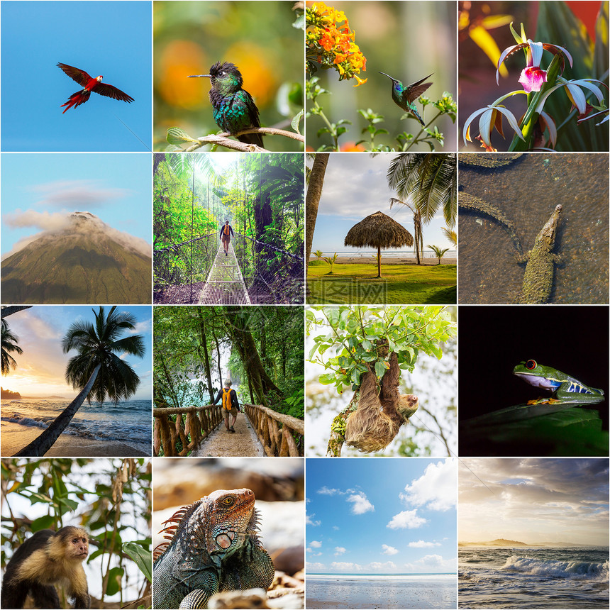 哥斯达黎加多样化景观动物图像的拼贴图片