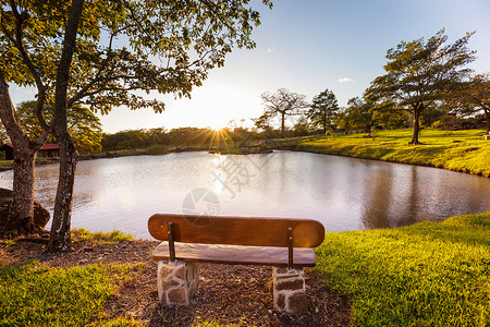 美丽的绿色湖岸上的木凳图片