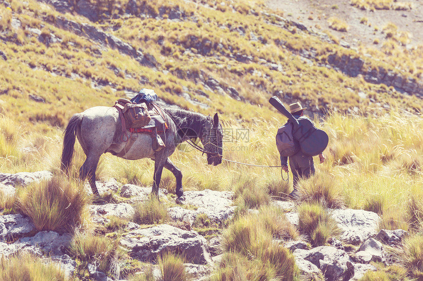 毛驴商队科迪利拉华瓦什,秘鲁,南美洲图片
