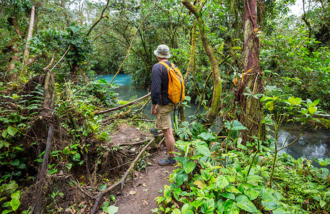 哥斯达黎加的徒步旅行徒步旅行绿色热带丛林,哥斯达黎加,洲图片